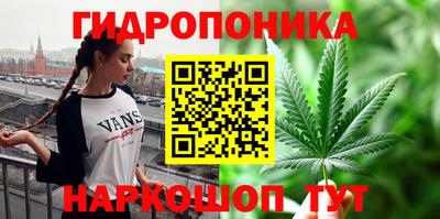 ECSTASY Новокубанск
